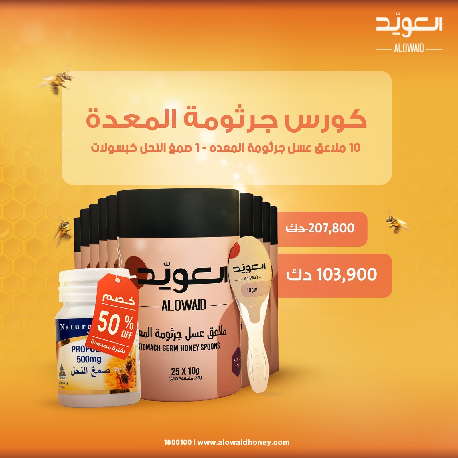 كورس جرثومة المعدة
